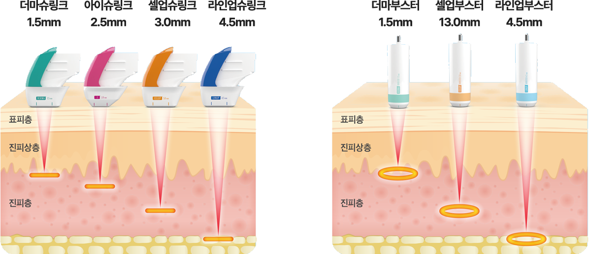 피부층 이미지